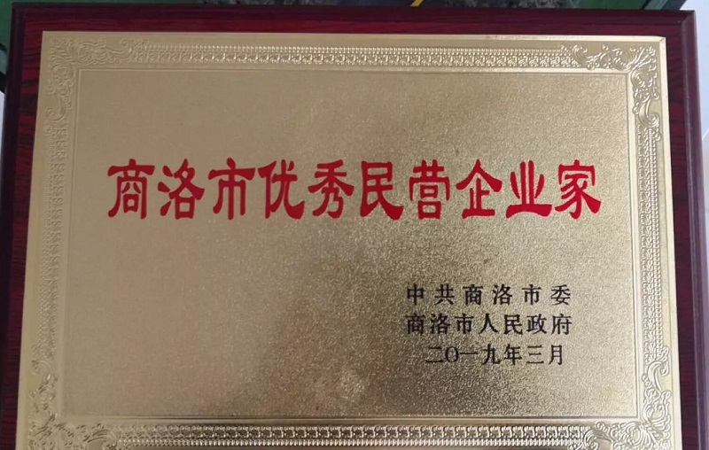 熱烈祝賀李宗松董事長榮獲商洛市優(yōu)秀企業(yè)家